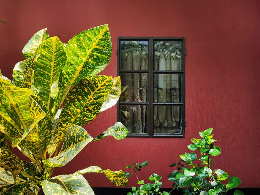 Painted house wall in bright daylight